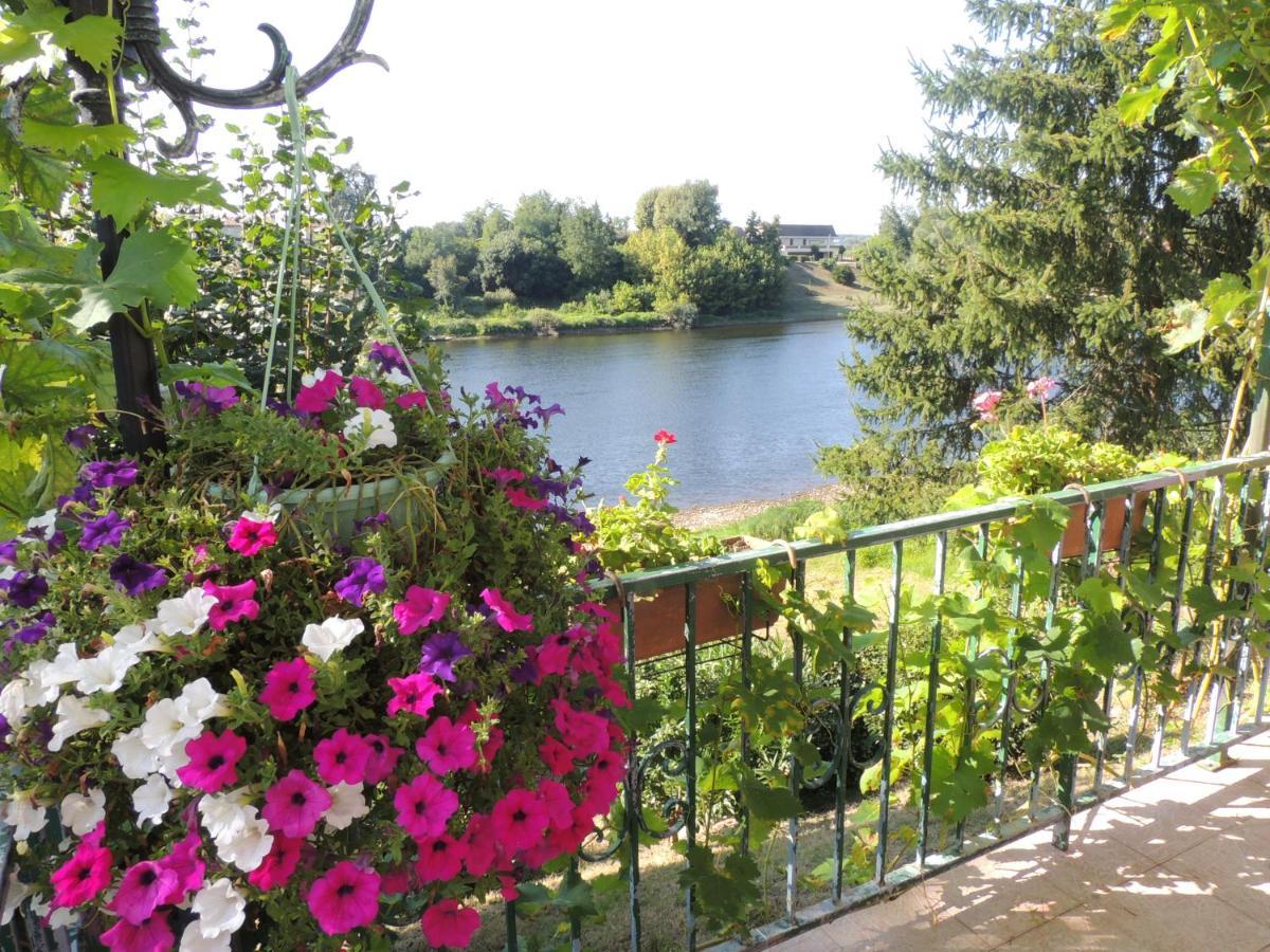 Le Jardin Des Cygnes Bed & Breakfast Pineuilh ภายนอก รูปภาพ