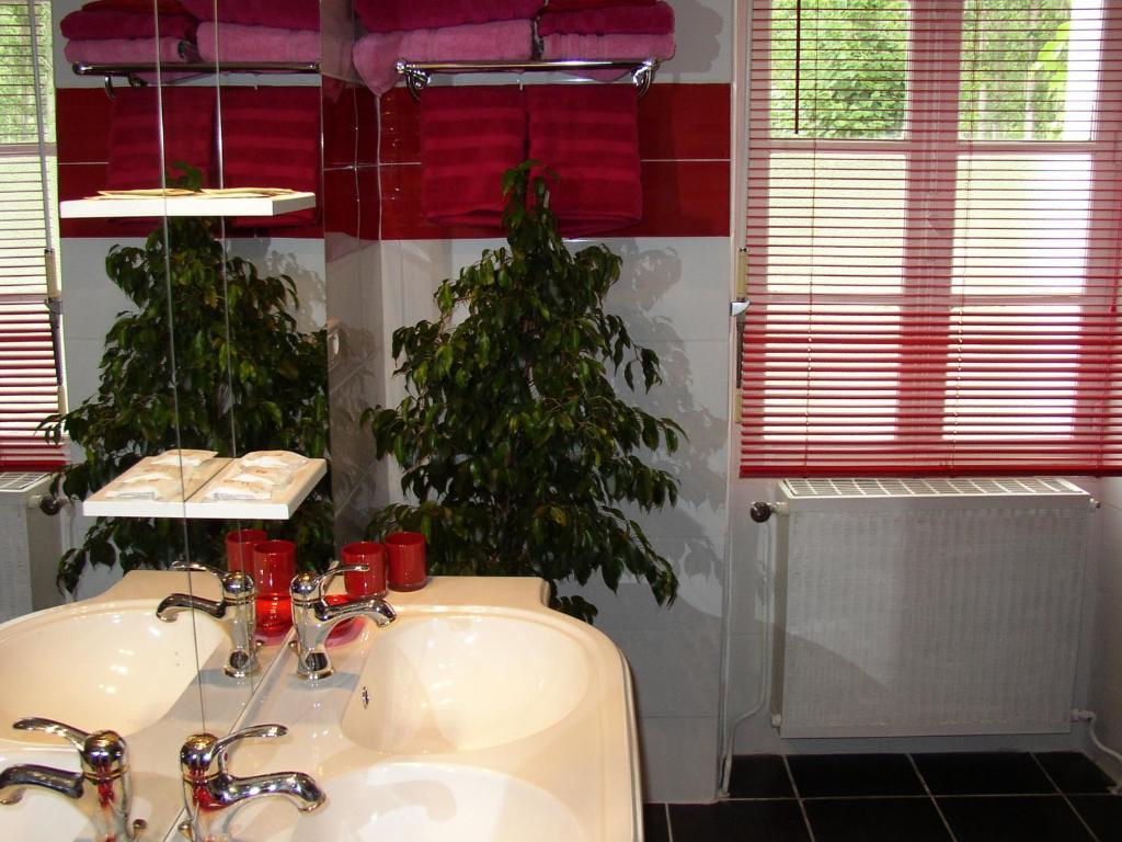 Le Jardin Des Cygnes Bed & Breakfast Pineuilh ห้อง รูปภาพ